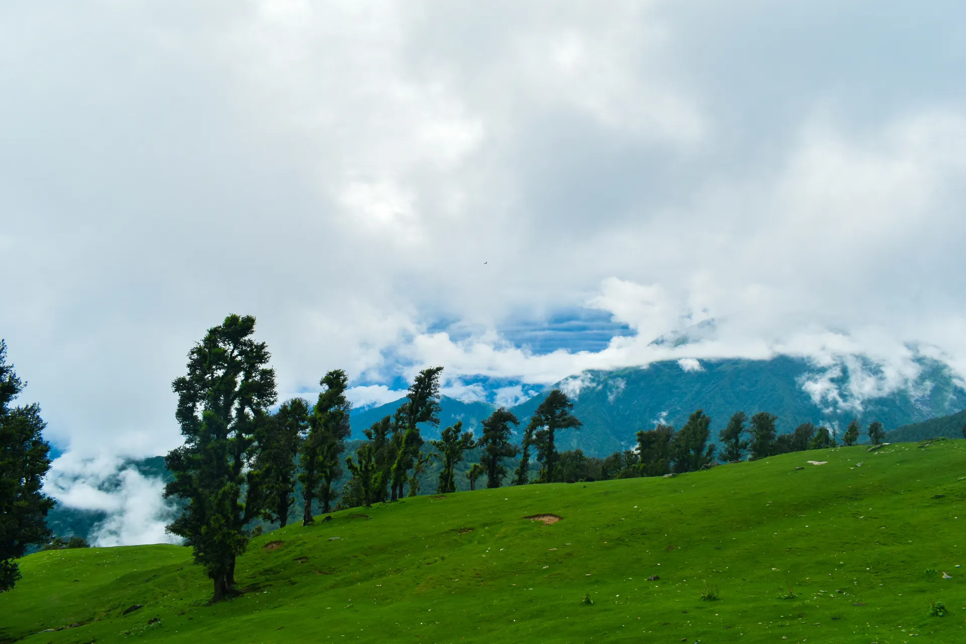 Honeymoon, Gulmarg Kashmir