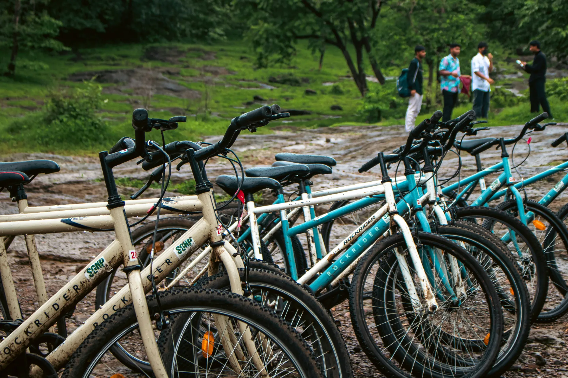 Cycle Adventure