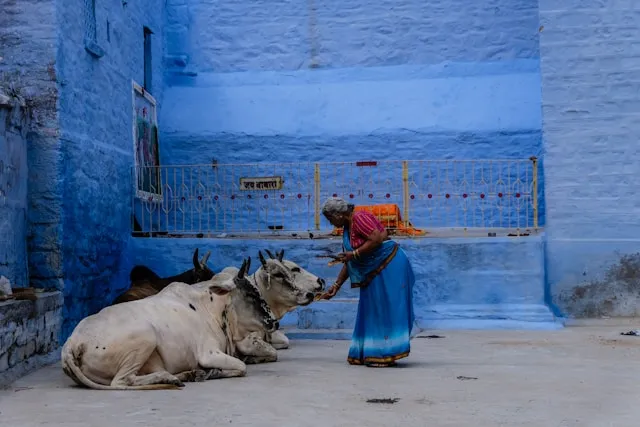 Rajasthan â€“ The Royal Land of Kings, Culture & Colors
