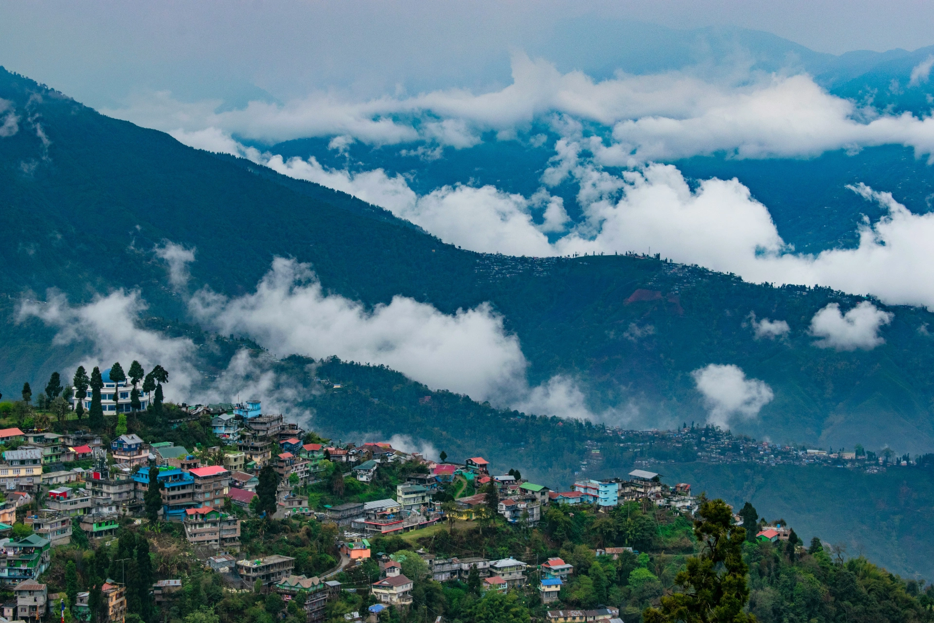 Darjeeling  Pleasing & Gang Tour