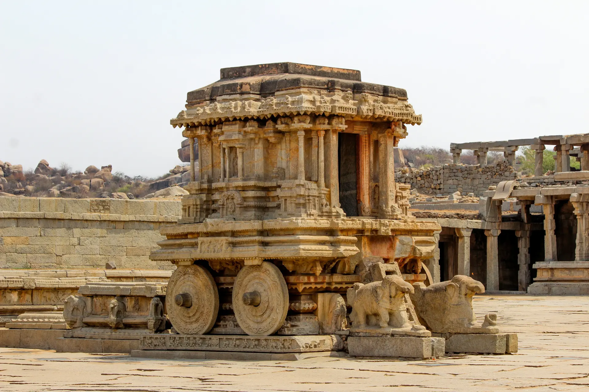 Taj, Tiger & Tours
