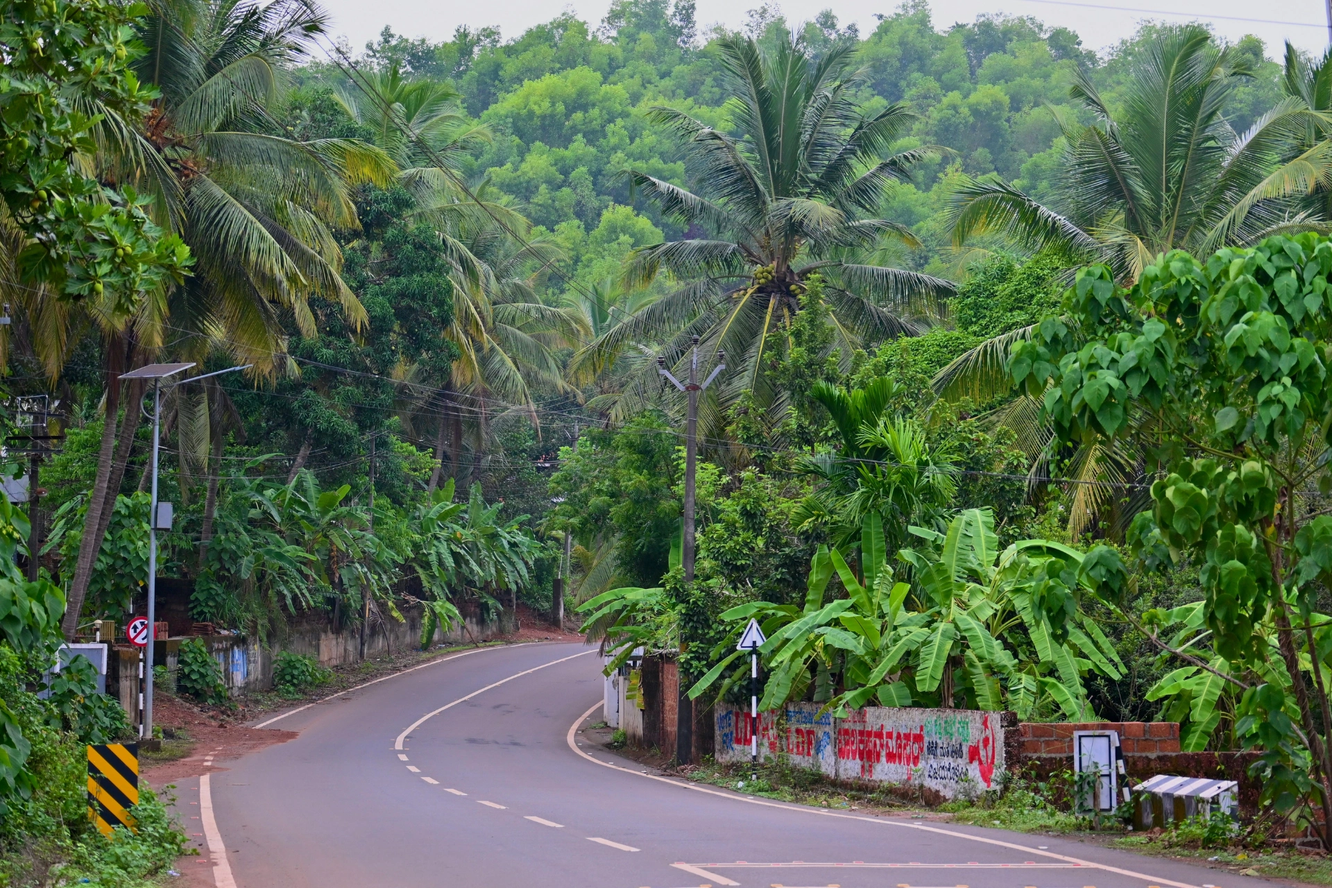 Cycle Tours